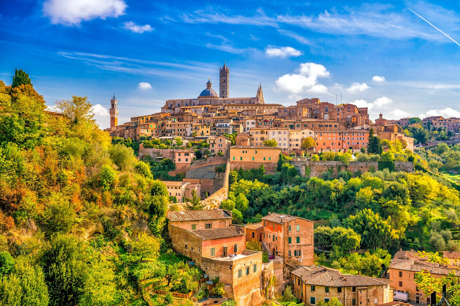 Siena skyline with cathedral and tower, Tuscany, Italy